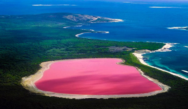 El Lago Hillier