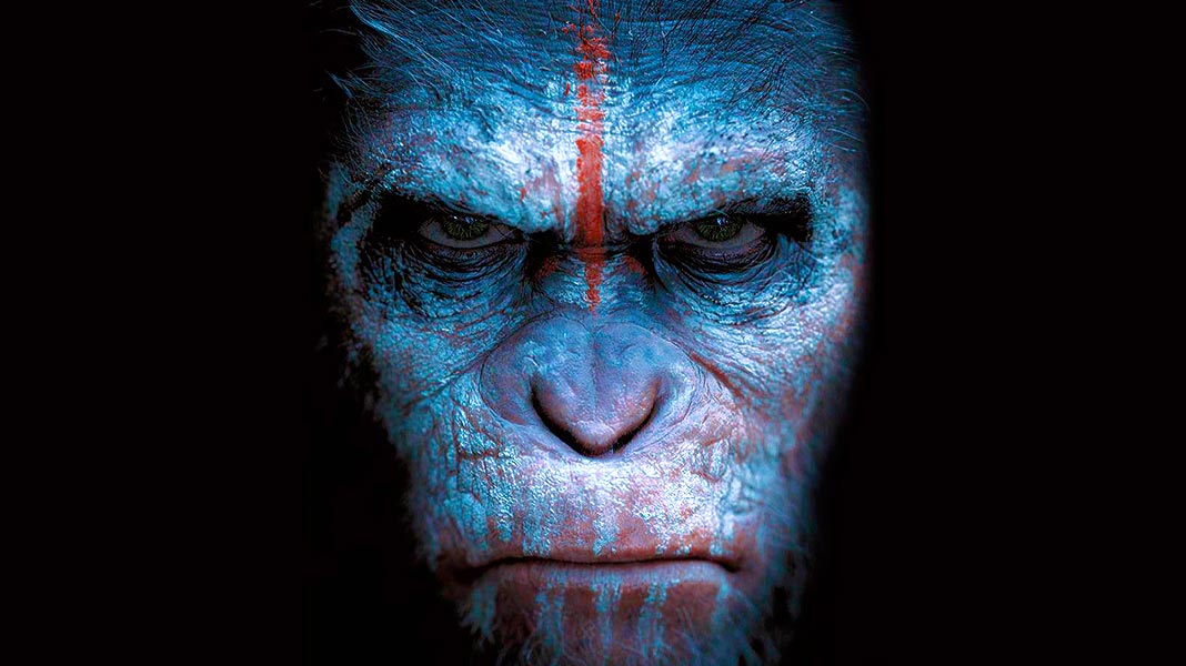 Así es como un chimpancé dio un golpe de estado (en la vida real)