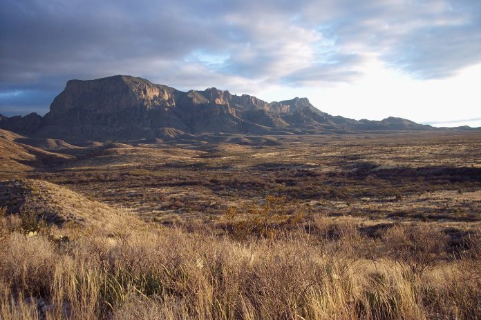 Desierto de Chihuahua.