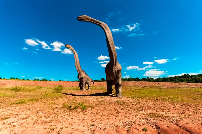 Diplodocus en una llanura