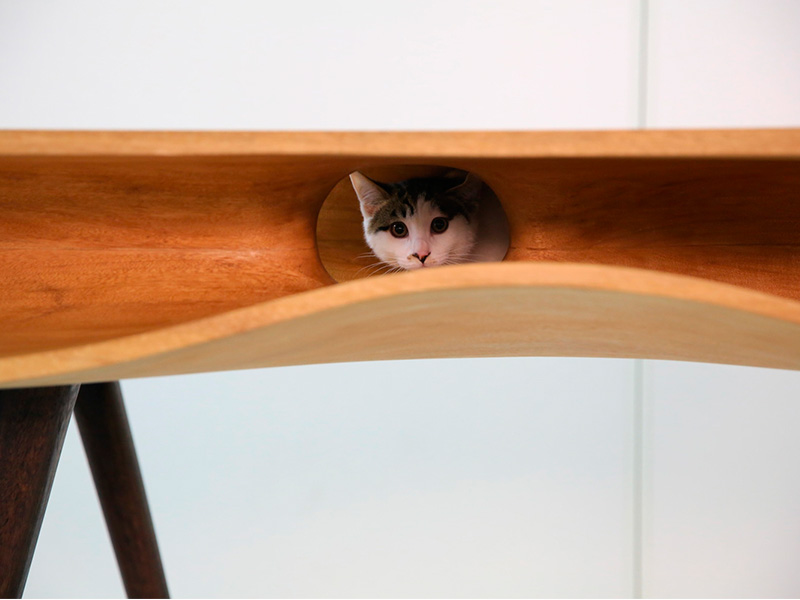 Mesa cama para el gato