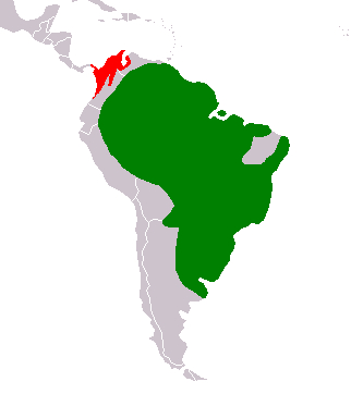 áreas de distribución del roedor más grande del mundo, marcado sobre un mapa de Suramérica.