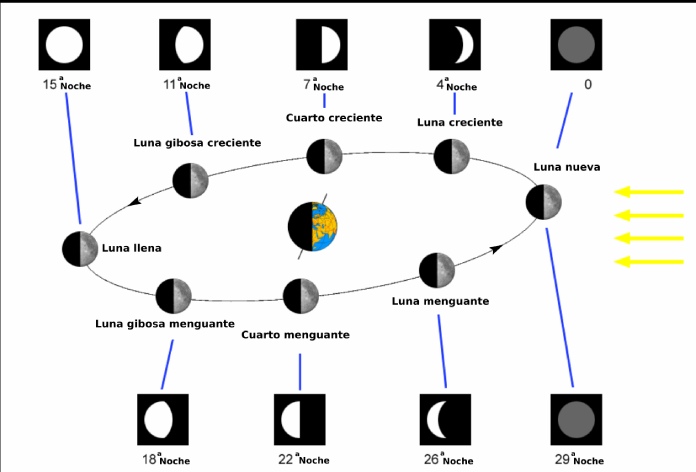 Infografía con las fases de la Luna y su influencia con respecto a la posición de la tierra.