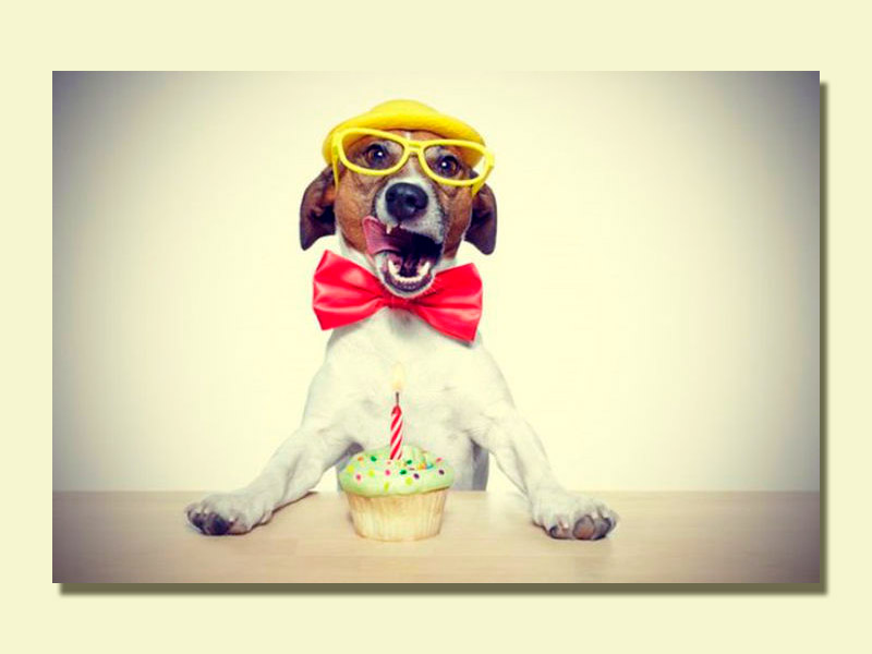 ¿Sabes cuál es el origen de la celebración del cumpleaños?