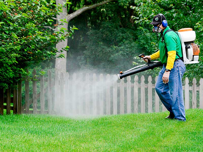 ¿Cómo funcionan los insecticidas domésticos?
