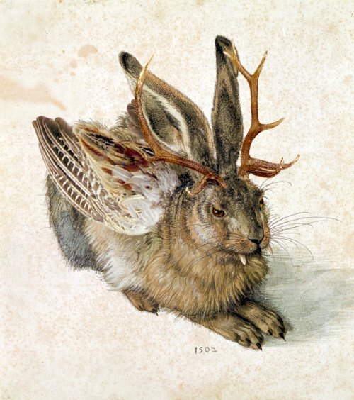 El Jackalope de Alemania, una criatura mitológica descrita como el wolpertinger.