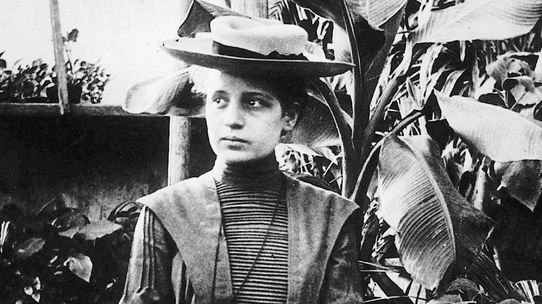 Lise Meitner: curiosidades