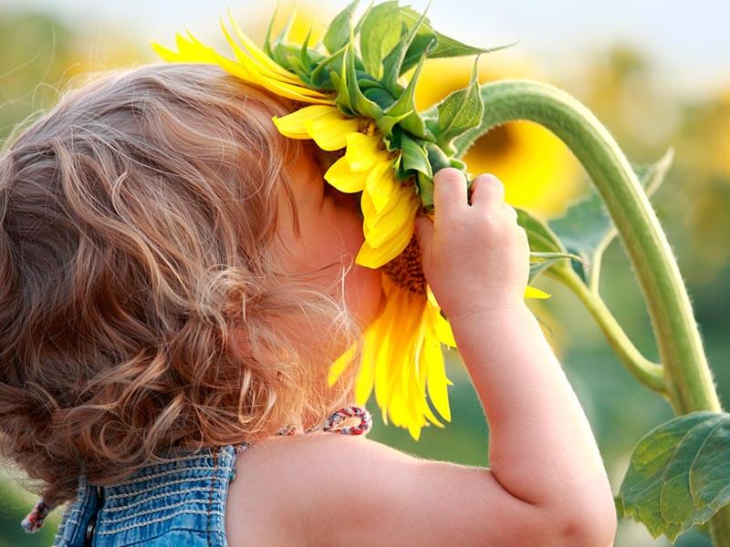 Niña oliendo un girasol