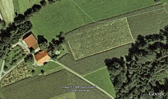 Pillados en Google Maps con un cultivo ilegal.