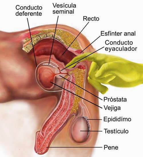 Situación del punto P