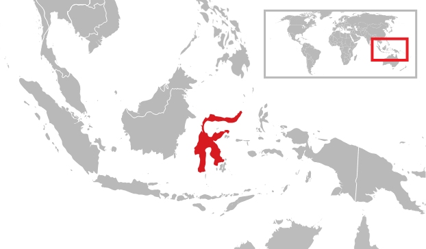 Ubicación de las islas Célebes o Sulawesi, donde vive la tribu Tana Toraja.