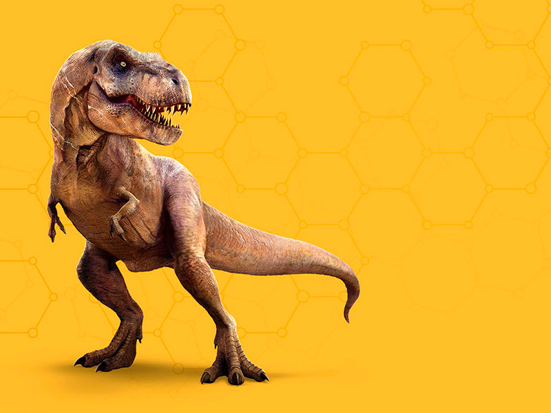 Resulta que el Tyrannosaurus Rex no era para tanto